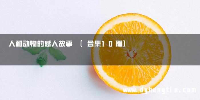人和动物的感人故事 (合集10篇)